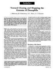 Toward Cloning and Mapping the Genome of Drosophila - Science