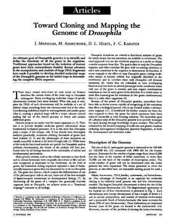 Toward Cloning and Mapping the Genome of Drosophila - Science