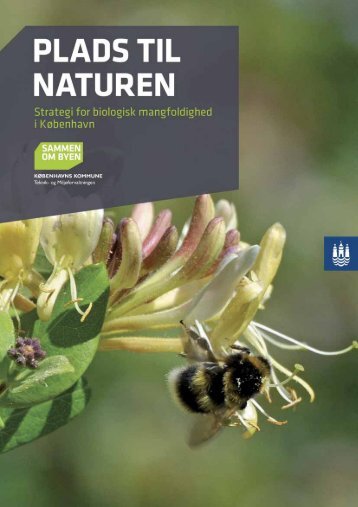 Plads til naturen - Klimatilpasning