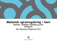 Mekanisk ugrasregulering i korn.pdf - Blæstad