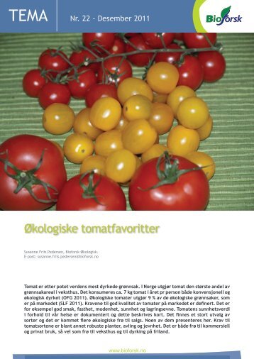 Økologiske tomatfavoritter - Agropub