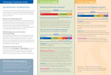 Schleswiger Stadtwerke GmbH Erläuterungen STROM ...