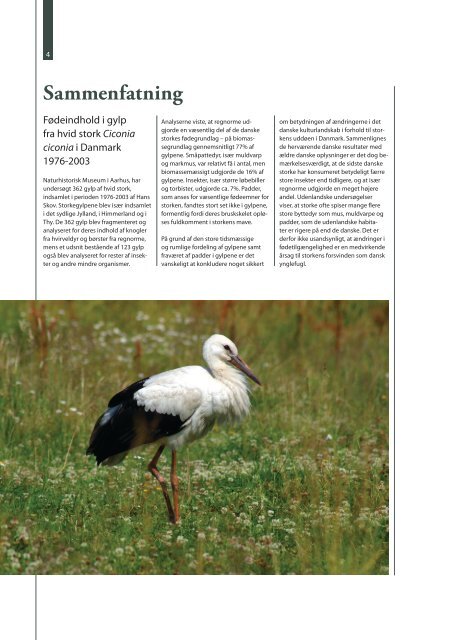 En analyse af gylp fra hvid stork Ciconia ciconia i Danmark