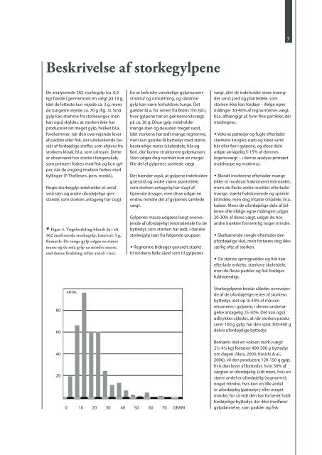 En analyse af gylp fra hvid stork Ciconia ciconia i Danmark