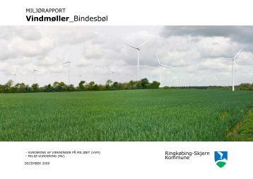 Miljørapport vindmøller Bindesbøl.pdf - Ringkøbing-Skjern Kommune
