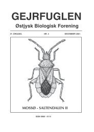 Mossø-Saltendalen - Gejrfuglen