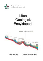 Liten Geologisk Encyklopedi - GeoNord