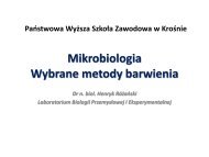 Mikrobiologia Wybrane metody barwienia - luskiewnik.strefa.pl