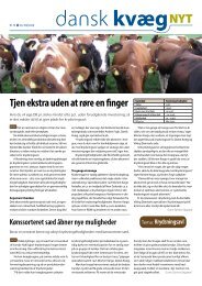 Dansk kvæg nyt nr 05 2009