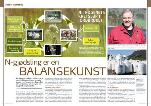 N-gjødsling en balansekunst - Norsk Landbruk