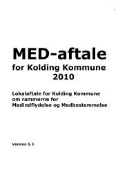 MED aftale for Odense kommune 2013 - OAO