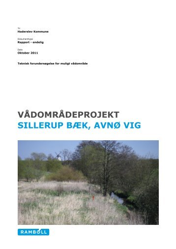 Forundersøgelsesrapport Sillerup Bæk - Haderslev Kommune