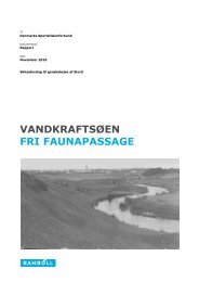 VANDKRAFTSØEN FRI FAUNAPASSAGE