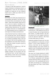 Bull Terriers | RAS 2008 - Engelsk Bull Terrier