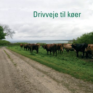 Drivveje til køer - Landbrugsforlaget