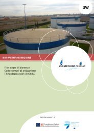 Introduction to Production of Biomethane from Biogas - Fedarene