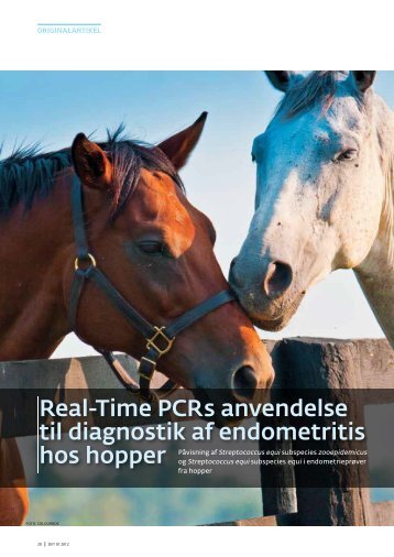 Real-Time PCRs anvendelse til diagnostik af endometritis - Elbo