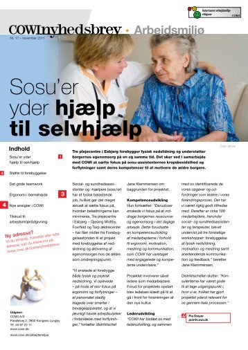 Nr. 17, november 2011 - Cowi