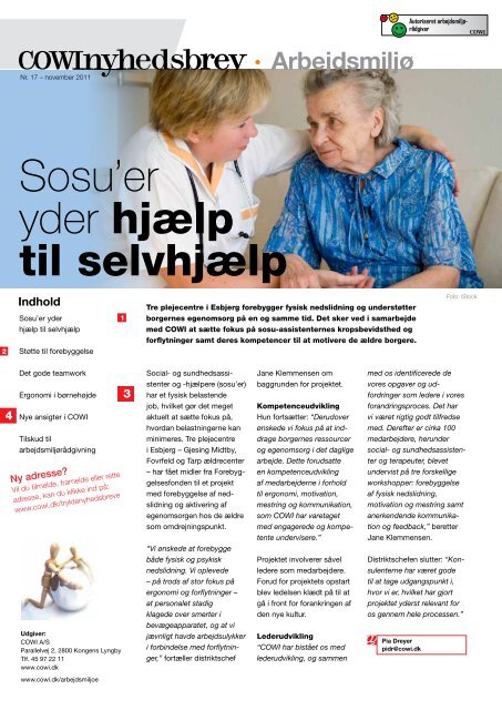 Nr. 17, november 2011 - Cowi