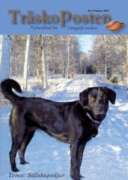 Nr 4, Tema Sällskapsdjur - Träskoposten