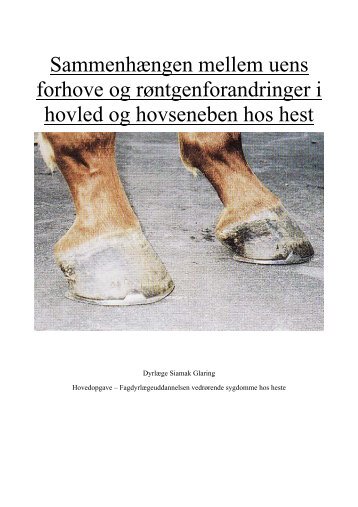 Sammenhængen mellem forekomsten af uens forhove og ...