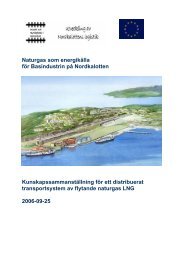 Naturgas som energikälla för Basindustrin på Nordkalotten ...