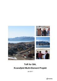 ToR for SIA, Kvanefjeld Multi-Element Projekt - Greenland Minerals