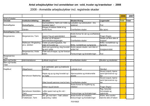 Arbejdsskadestatistik 2008.pdf - Ringkøbing-Skjern Kommune