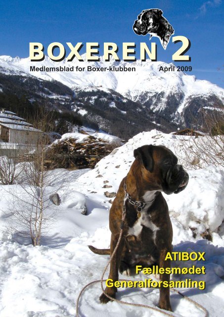 Boxer 2-2009.pmd