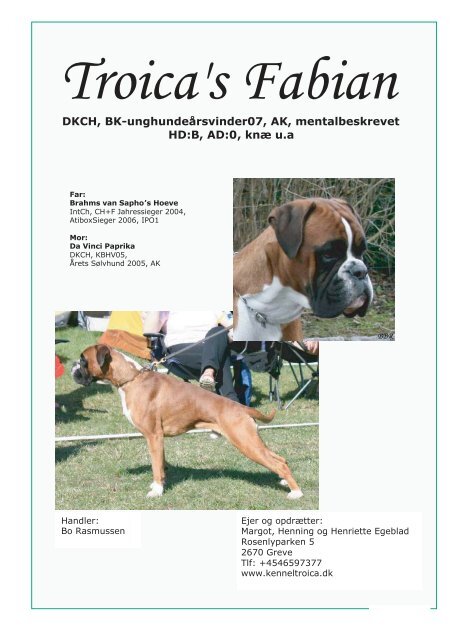 Boxer 2-2009.pmd