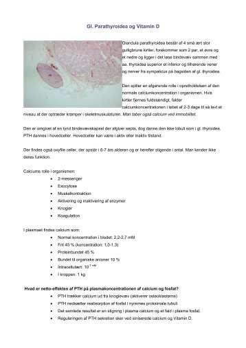 Glandula parathyroidea - Asma Bashir