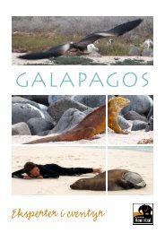 Galapagos katalog - Jesper Hannibal