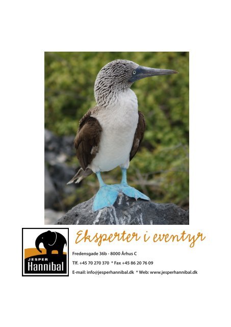 Galapagos katalog - Jesper Hannibal