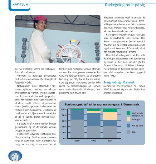 "Bogen om energien" som PDF-fil. - Spargas