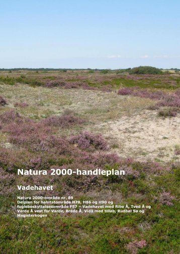 Natura 2000-handleplan Vadehavet - Esbjerg Kommune