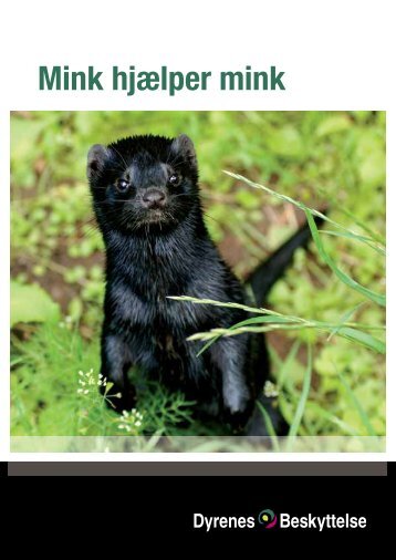 Mink hjælper mink - Dyrenes Beskyttelse