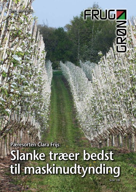 Slanke træer bedst til maskinudtynding - Gartneribladene