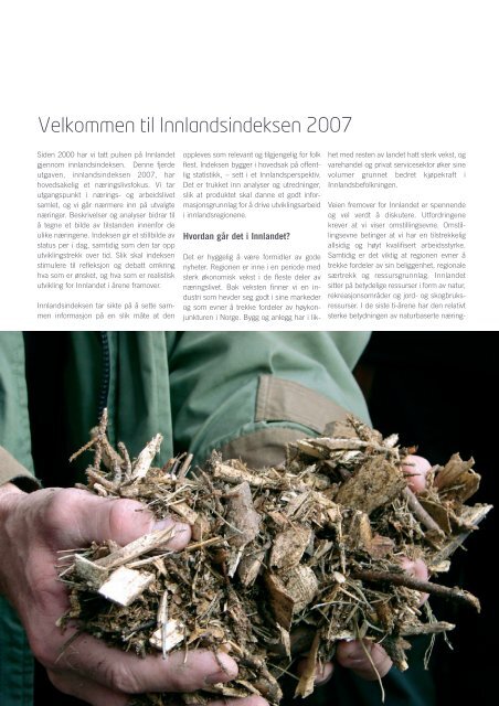 INNLANDSINDEKSEN 2007 - Oppland fylkeskommune