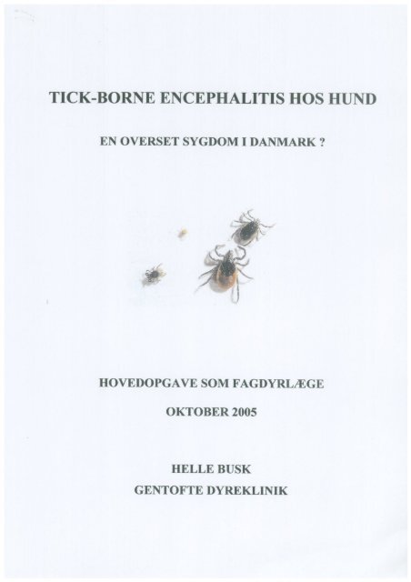 2006-05 Helle Busk.pdf