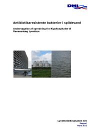 11520009 Resistens Final Report - Spildevandsinfo.dk