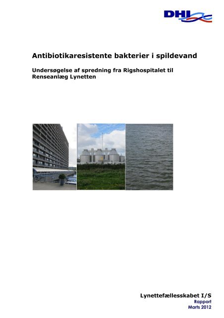 11520009 Resistens Final Report - Spildevandsinfo.dk