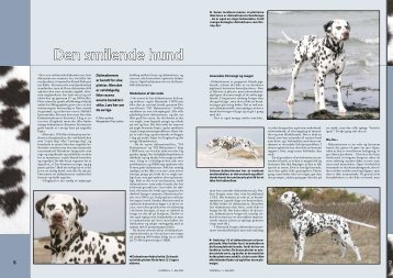 PDF-file: Dalmatiner - Dansk Kennel Klub