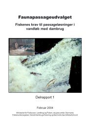 Fiskenes krav til passageløsninger i vandløb med dambrug