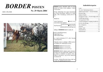 Nr. 29 Marts 2004 - Border terriers i DTK