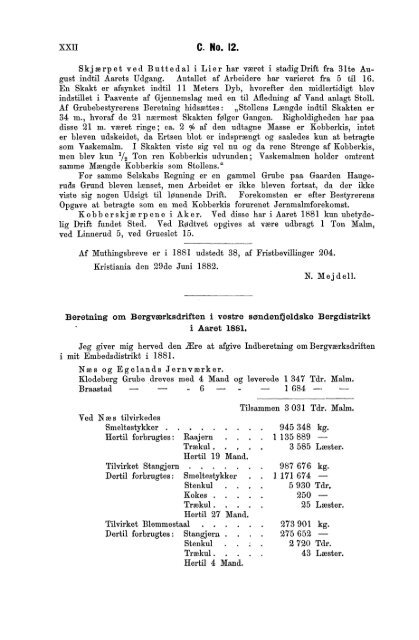 Tabeller vedkommende Norges Berværksdrift i Aarene 1880, 1881 ...