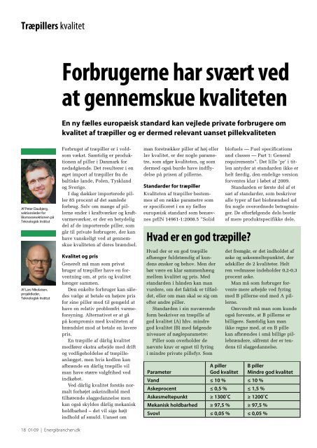 Energibranche.dk nr. 1/09 - Dansk Energi Brancheforening