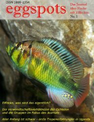 Eggspots - Welt der Fische / World of Fishes