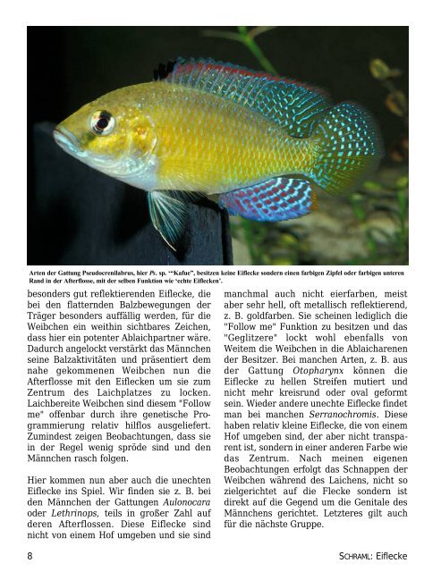 Eggspots - Welt der Fische / World of Fishes