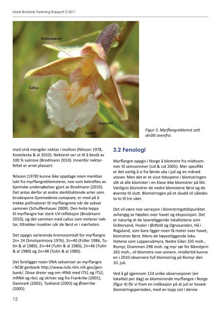 Forslag til handlingsplan for myrflangre Epipactis palustris (L ...