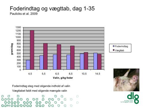 DLGs faglige koncepter og nyheder - LandboNord